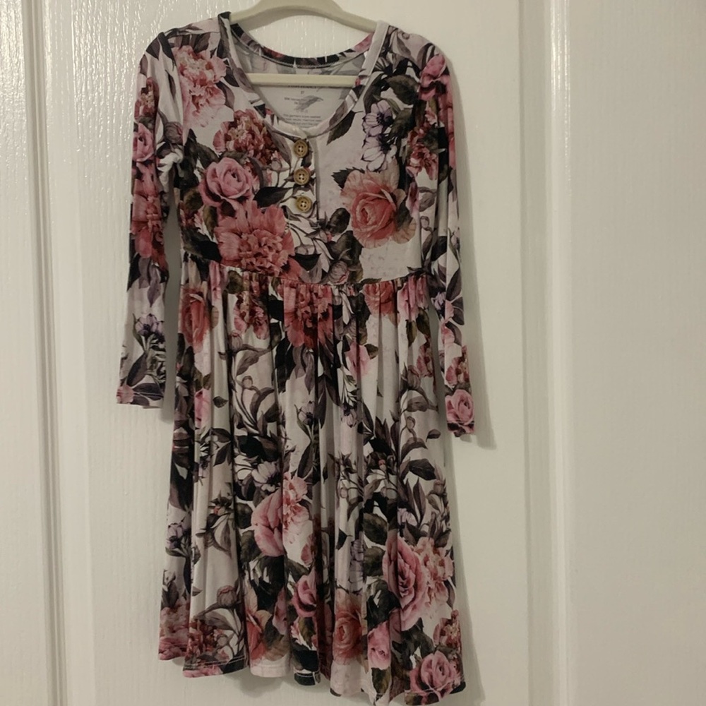 Posh peanut 3T long sleeve dress